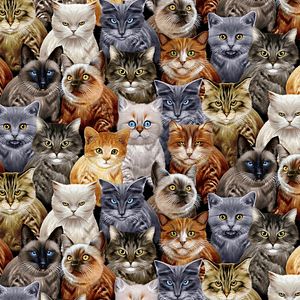 Crazy For Cats - Cotton Print Fabric
