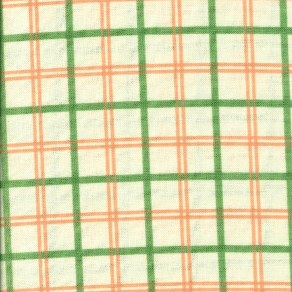 Cotton Print Fabric